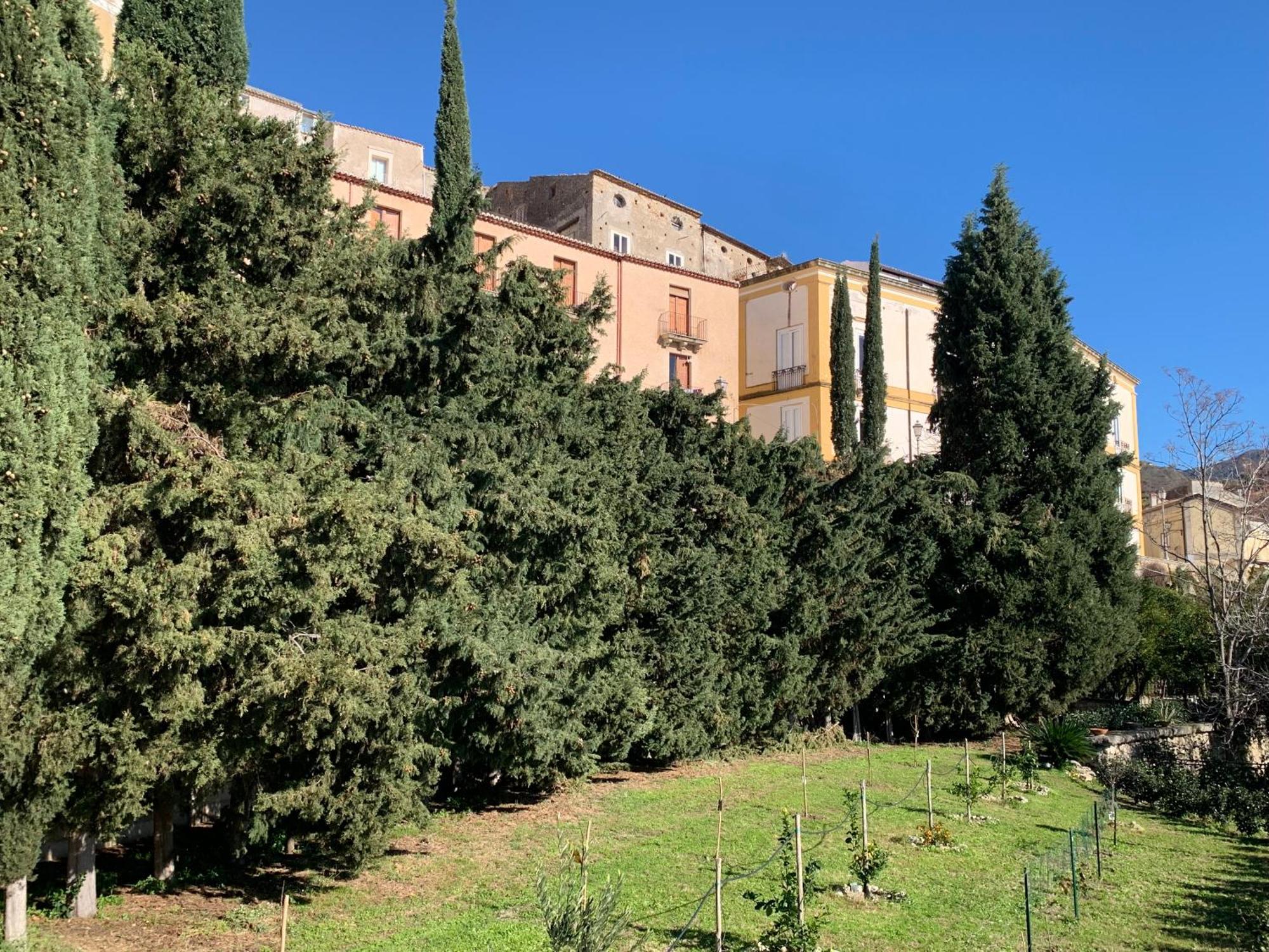 アマンテーアPalazzo Carratelliアパートメント エクステリア 写真